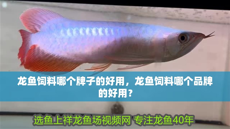 龍魚飼料哪個牌子的好用，龍魚飼料哪個品牌的好用？