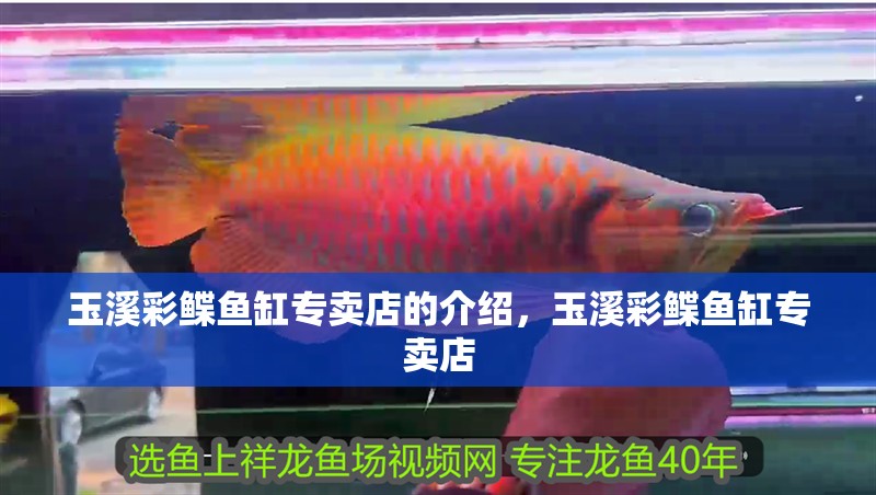 玉溪彩鰈魚缸專賣店的介紹，玉溪彩鰈魚缸專賣店