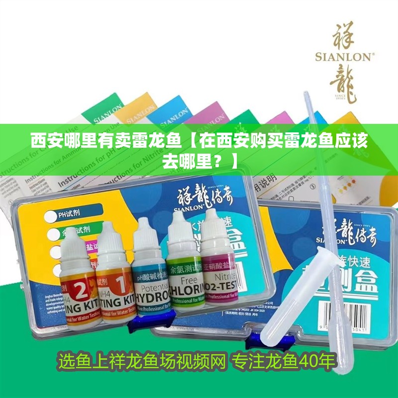 西安哪里有賣雷龍魚【在西安購買雷龍魚應該去哪里？】