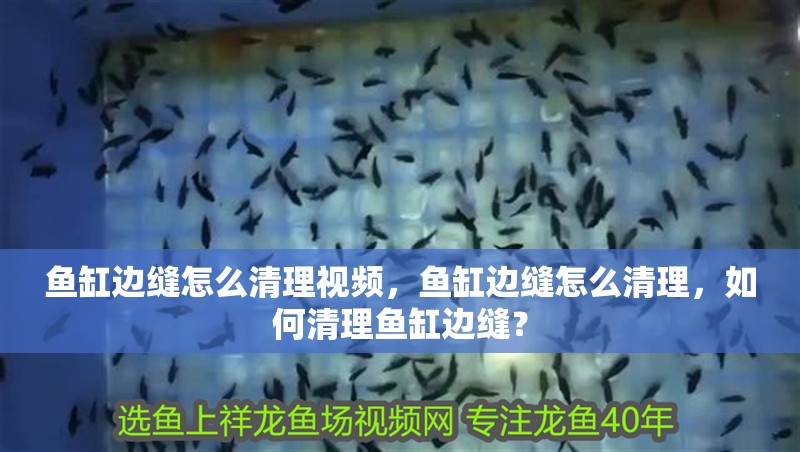 魚缸邊縫怎么清理視頻，魚缸邊縫怎么清理，如何清理魚缸邊縫？