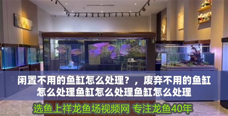 閑置不用的魚缸怎么處理？，廢棄不用的魚缸怎么處理魚缸怎么處理魚缸怎么處理