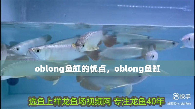oblong魚缸的優點，oblong魚缸