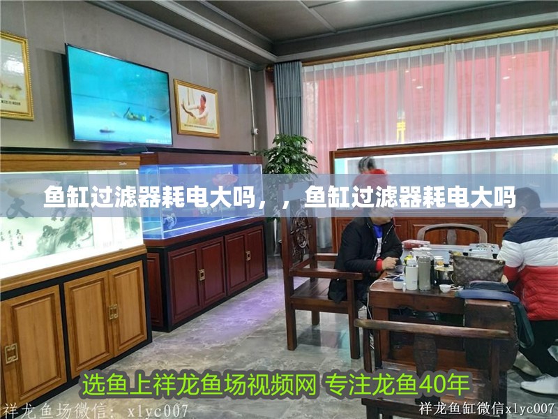 魚缸過濾器耗電大嗎，，魚缸過濾器耗電大嗎