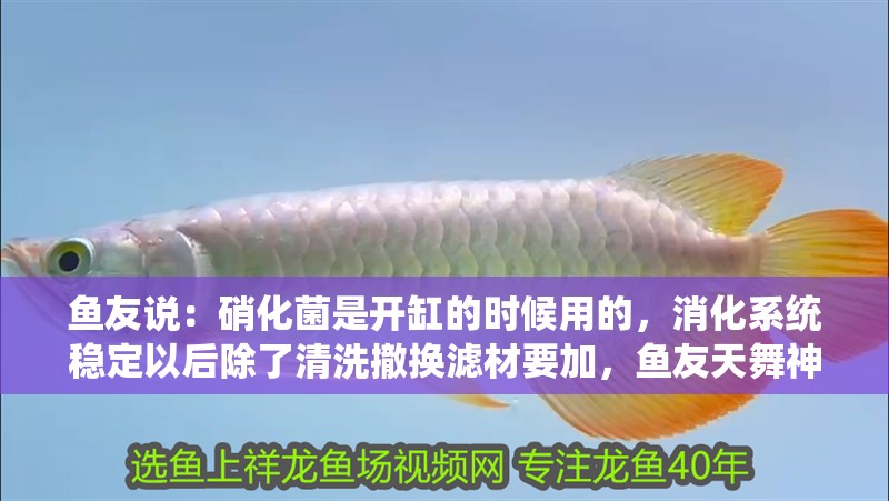 魚友說：硝化菌是開缸的時候用的，消化系統穩定以后除了清洗撤換濾材要加，魚友天舞神司:水質穩定后，剛才看不用加，我從來不加