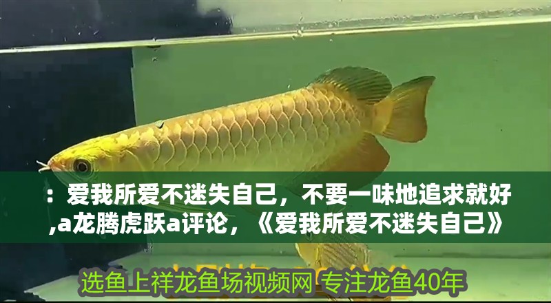 ：愛我所愛不迷失自己，不要一味地追求就好,a龍騰虎躍a評論，《愛我所愛不迷失自己》