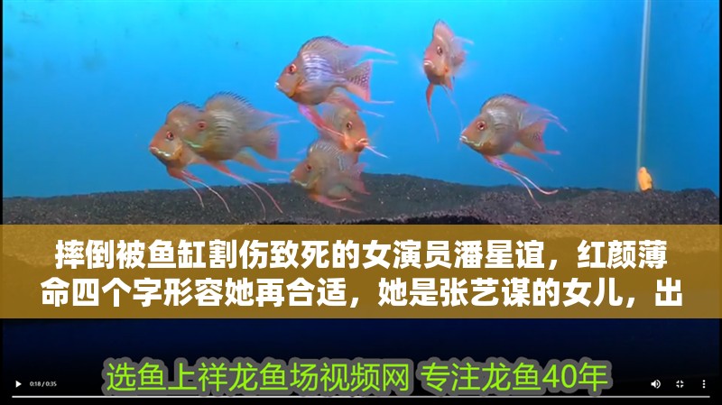 摔倒被魚缸割傷致死的女演員潘星誼，紅顏薄命四個(gè)字形容她再合適，她是張藝謀的女兒，出演《幸福時(shí)光》一炮而紅