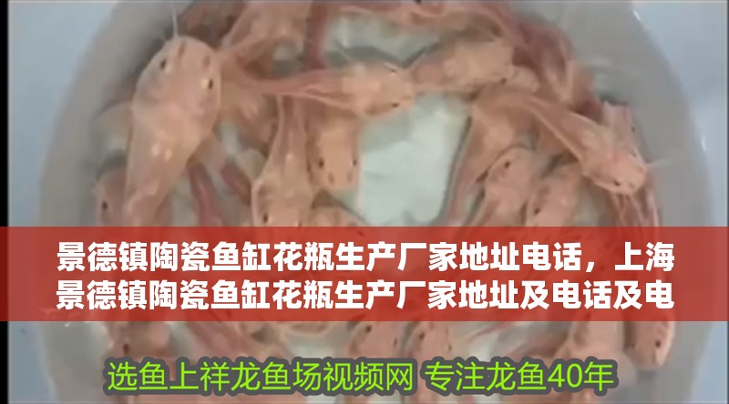 景德鎮陶瓷魚缸花瓶生產廠家地址電話，<strong><mark>上海</mark></strong>景德鎮陶瓷魚缸花瓶生產廠家地址及電話及電話及地址及電話