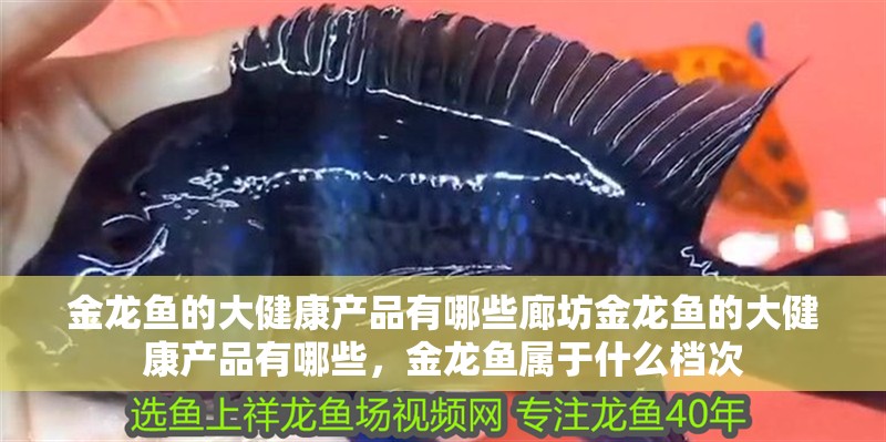 金龍魚的大健康產(chǎn)品有哪些廊坊金龍魚的大健康產(chǎn)品有哪些，金龍魚屬于什么檔次