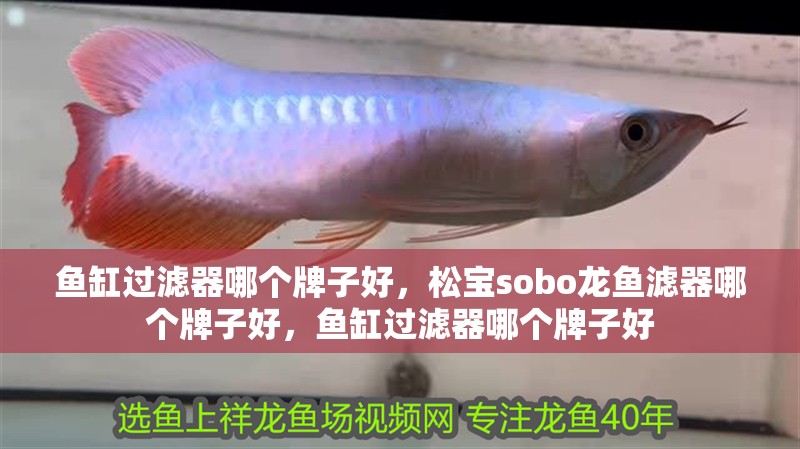 魚缸過濾器哪個牌子好，松寶sobo龍魚濾器哪個牌子好，魚缸過濾器哪個牌子好