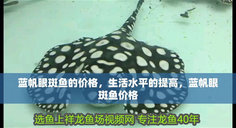 藍帆眼斑魚的價格，生活水平的提高，藍帆眼斑魚價格