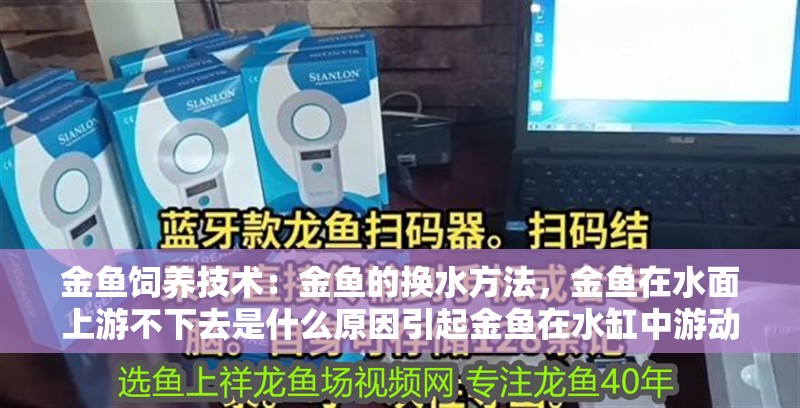 金魚飼養技術：金魚的換水方法，金魚在水面上游不下去是什么原因引起金魚在水缸中游動的