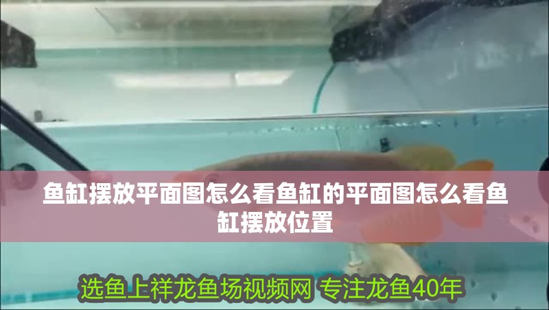 魚缸擺放平面圖怎么看魚缸的平面圖怎么看魚缸擺放位置