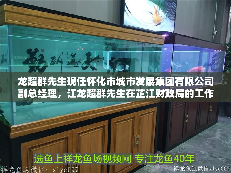 龍超群先生現任懷化市城市發展集團有限公司副總經理，江龍超群先生在芷江財政局的工作成績如何？