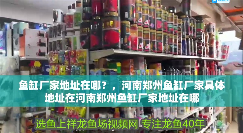 魚缸廠家地址在哪？，河南鄭州魚缸廠家具體地址在河南鄭州魚缸廠家地址在哪