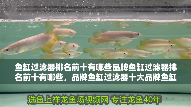 魚缸過濾器排名前十有哪些品牌魚缸過濾器排名前十有哪些，品牌魚缸過濾器十大品牌魚缸過濾器排名前十有哪些