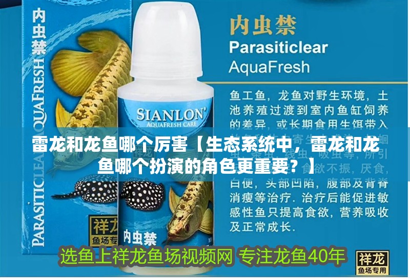 雷龍和龍魚哪個厲害【生態系統中，雷龍和龍魚哪個扮演的角色更重要？】