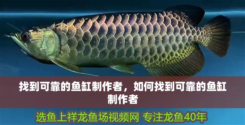 找到可靠的魚缸制作者，如何找到可靠的魚缸制作者