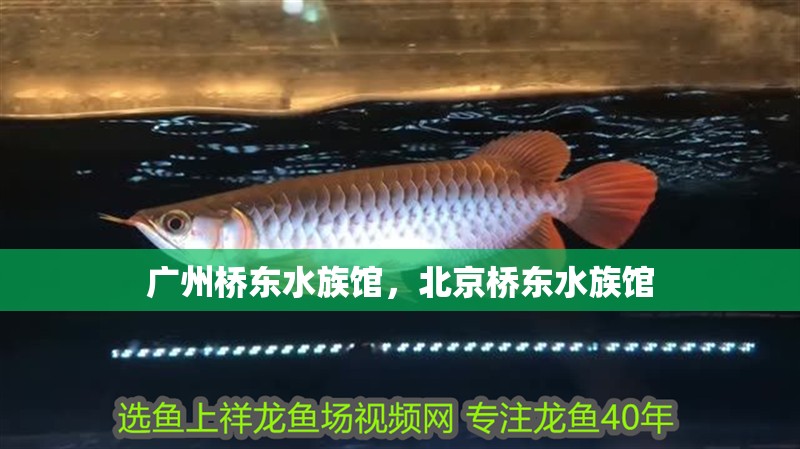 廣州橋東水族館，北京橋東水族館