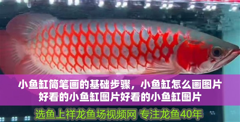 小魚缸簡筆畫的基礎步驟，小魚缸怎么畫圖片好看的小魚缸圖片好看的小魚缸圖片