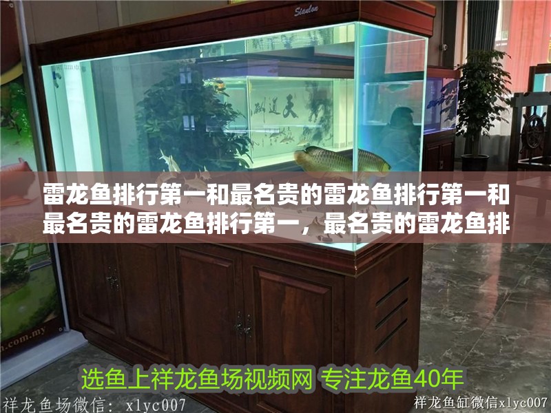 雷龍魚排行第一和最名貴的雷龍魚排行第一和最名貴的雷龍魚排行第一，最名貴的雷龍魚排行第一
