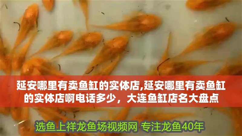 <strong><mark>延安</mark></strong>哪里有賣魚缸的實體店,<strong><mark>延安</mark></strong>哪里有賣魚缸的實體店啊電話多少，大連魚缸店名大盤點