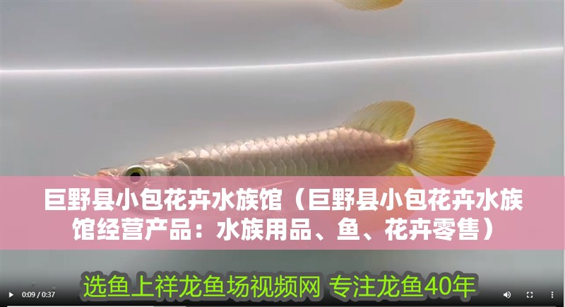 巨野縣小包花卉水族館（巨野縣小包花卉水族館經營產品：水族用品、魚、花卉零售）
