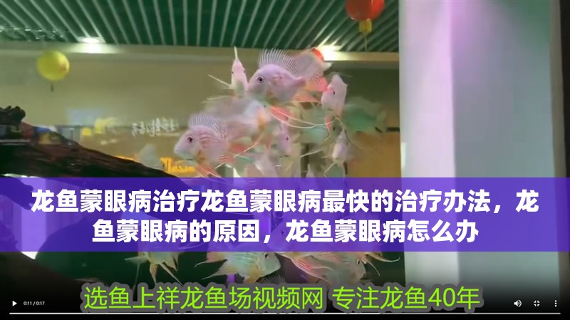 龍魚蒙眼病治療龍魚蒙眼病最快的治療辦法，龍魚蒙眼病的原因，龍魚蒙眼病怎么辦