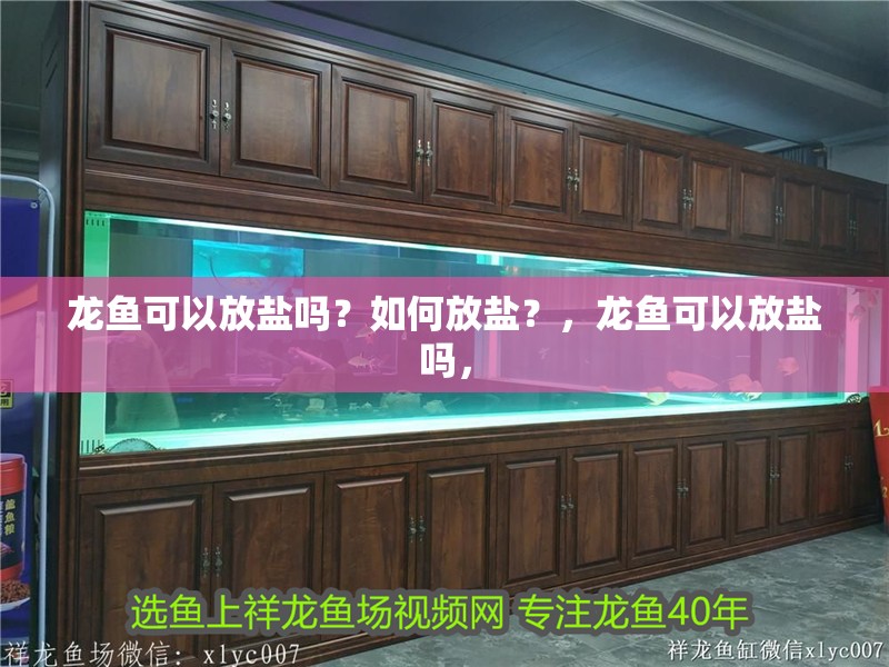 龍魚(yú)可以放鹽嗎？如何放鹽？，龍魚(yú)可以放鹽嗎，
