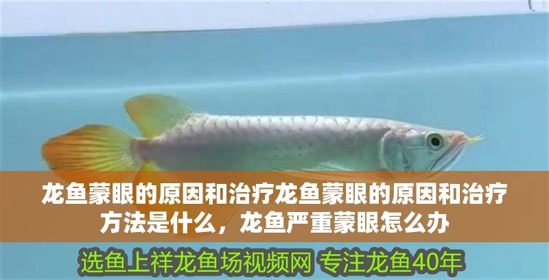 龍魚蒙眼的原因和治療龍魚蒙眼的原因和治療方法是什么，龍魚嚴重蒙眼怎么辦