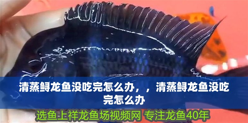 清蒸鱘龍魚沒吃完怎么辦，，清蒸鱘龍魚沒吃完怎么辦