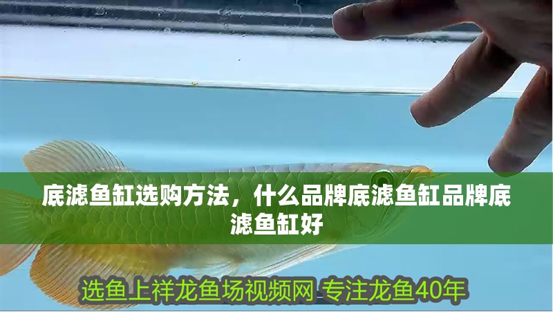 底濾魚缸選購方法，什么品牌底濾魚缸品牌底濾魚缸好