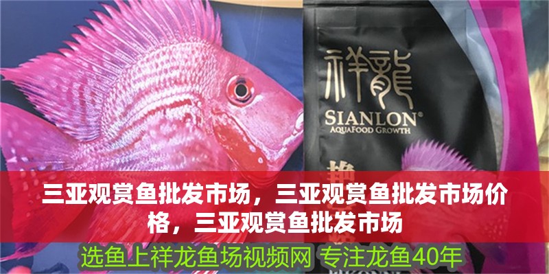 三亞觀賞魚批發市場，三亞觀賞魚批發市場價格，三亞觀賞魚批發市場