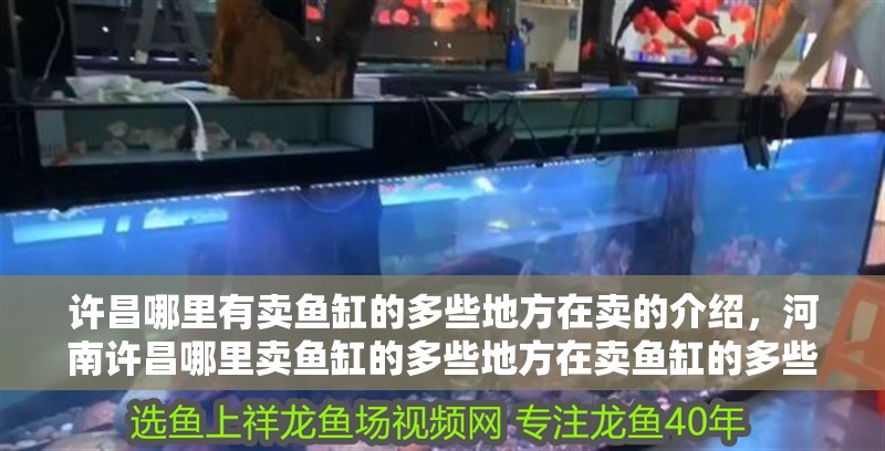 許昌哪里有賣魚缸的多些地方在賣的介紹，河南許昌哪里賣魚缸的多些地方在賣魚缸的多些地方在賣