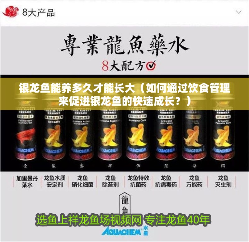 銀龍魚能養多久才能長大（如何通過飲食管理來促進銀龍魚的快速成長？）