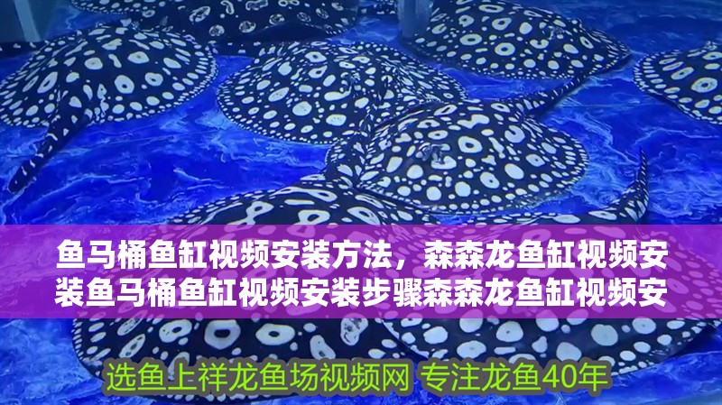 魚馬桶魚缸視頻安裝方法，森森龍魚缸視頻安裝魚馬桶魚缸視頻安裝步驟森森龍魚缸視頻安裝