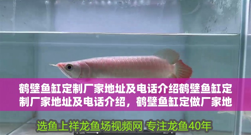 鶴壁魚缸定制廠家地址及電話介紹鶴壁魚缸定制廠家地址及電話介紹，鶴壁魚缸定做廠家地址及電話