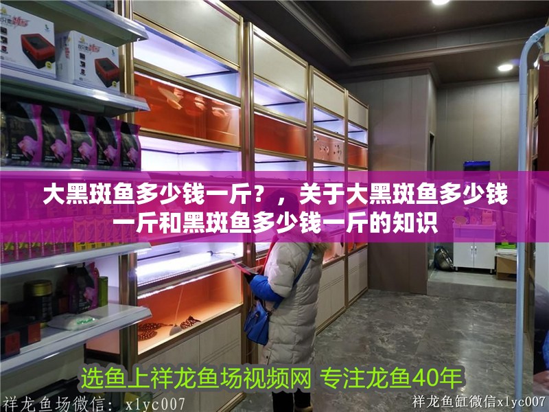 大黑斑魚多少錢一斤？，關于大黑斑魚多少錢一斤和黑斑魚多少錢一斤的知識