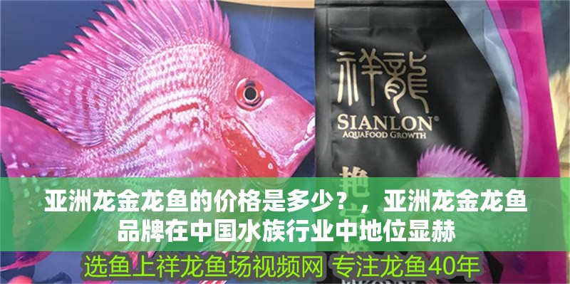 亞洲龍金龍魚的價格是多少？，亞洲龍金龍魚品牌在中國水族行業中地位顯赫