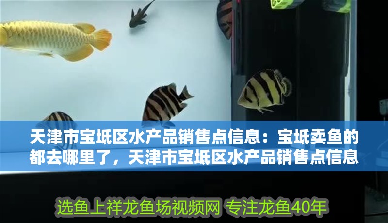 天津市寶坻區水產品銷售點信息：寶坻賣魚的都去哪里了，天津市寶坻區水產品銷售點信息