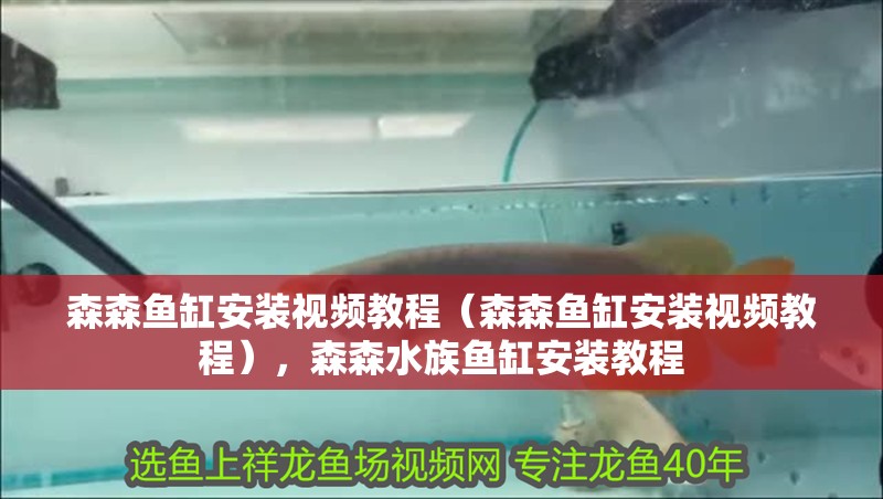 森森魚缸安裝視頻教程（森森魚缸安裝視頻教程），森森水族魚缸安裝教程
