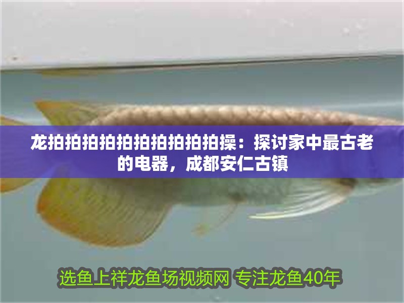 龍拍拍拍拍拍拍拍拍拍拍操：探討家中最古老的電器，成都安仁古鎮