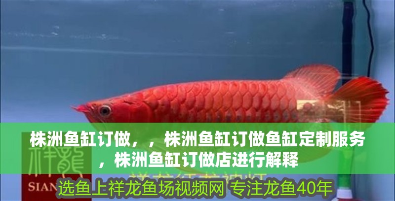 株洲魚缸訂做，，株洲魚缸訂做魚缸定制服務，株洲魚缸訂做店進行解釋