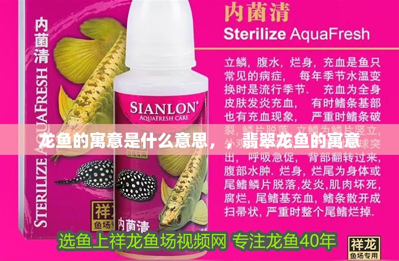 龍魚的寓意是什么意思，，翡翠龍魚的寓意