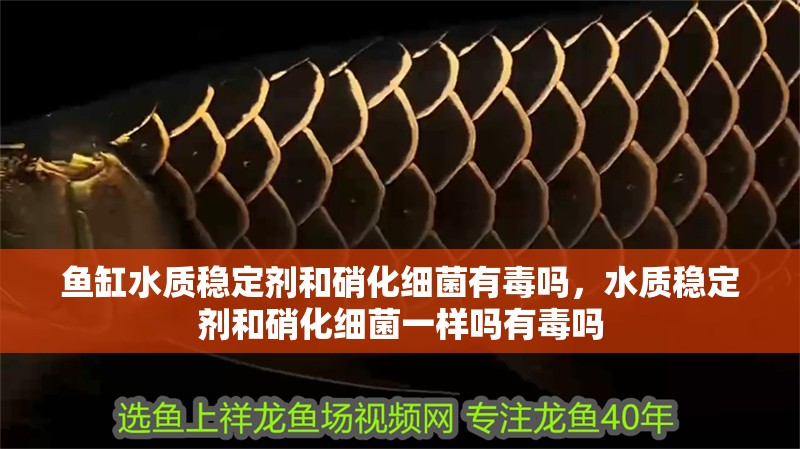 魚缸水質(zhì)穩(wěn)定劑和硝化細(xì)菌有毒嗎，水質(zhì)穩(wěn)定劑和硝化細(xì)菌一樣嗎有毒嗎