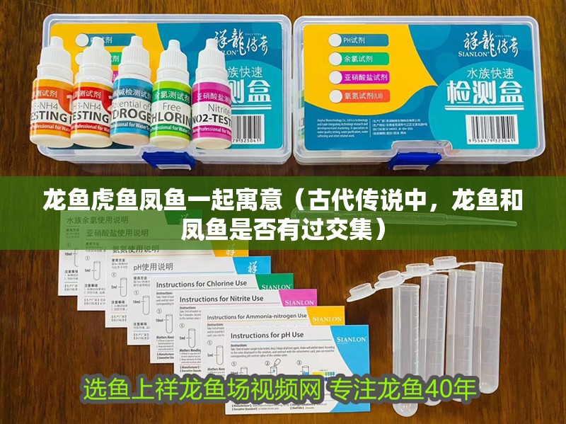 龍魚虎魚鳳魚一起寓意（古代傳說中，龍魚和鳳魚是否有過交集）