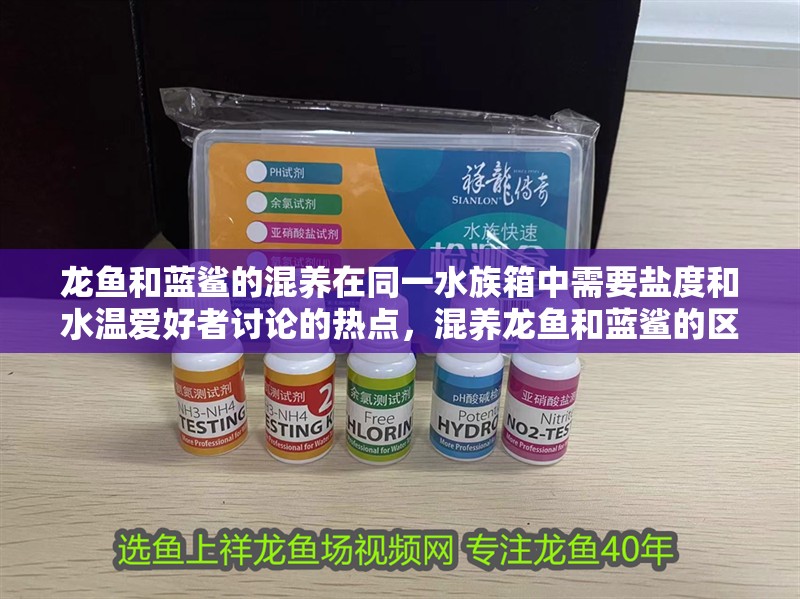 龍魚和藍鯊的混養(yǎng)在同一水族箱中需要鹽度和水溫愛好者討論的熱點，混養(yǎng)龍魚和藍鯊的區(qū)別