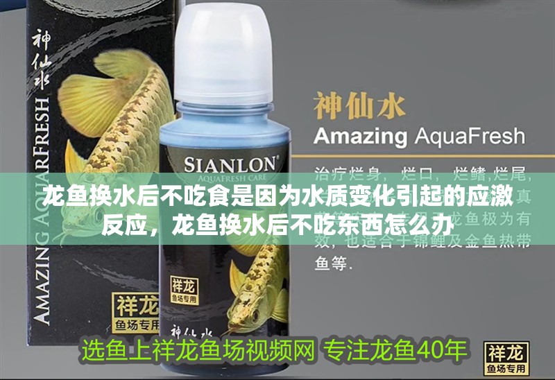 龍魚換水后不吃食是因為水質變化引起的應激反應，龍魚換水后不吃東西怎么辦