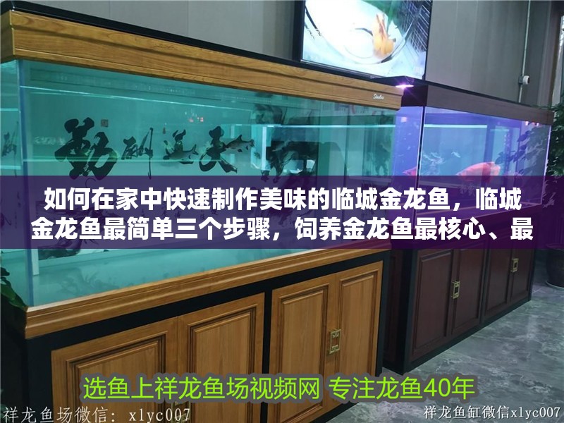 如何在家中快速制作美味的臨城金龍魚，臨城金龍魚最簡單三個步驟，飼養金龍魚最核心、最簡單的三個步驟