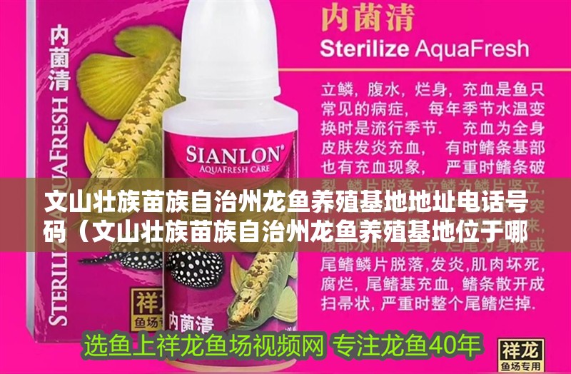 文山壯族苗族自治州龍魚養(yǎng)殖基地地址電話號(hào)碼（文山壯族苗族自治州龍魚養(yǎng)殖基地位于哪個(gè)具體位置？）