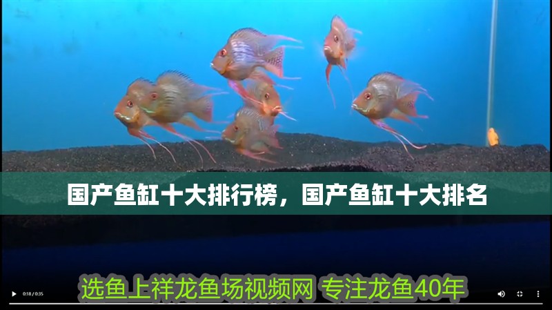 國產魚缸十大排行榜，國產魚缸十大排名